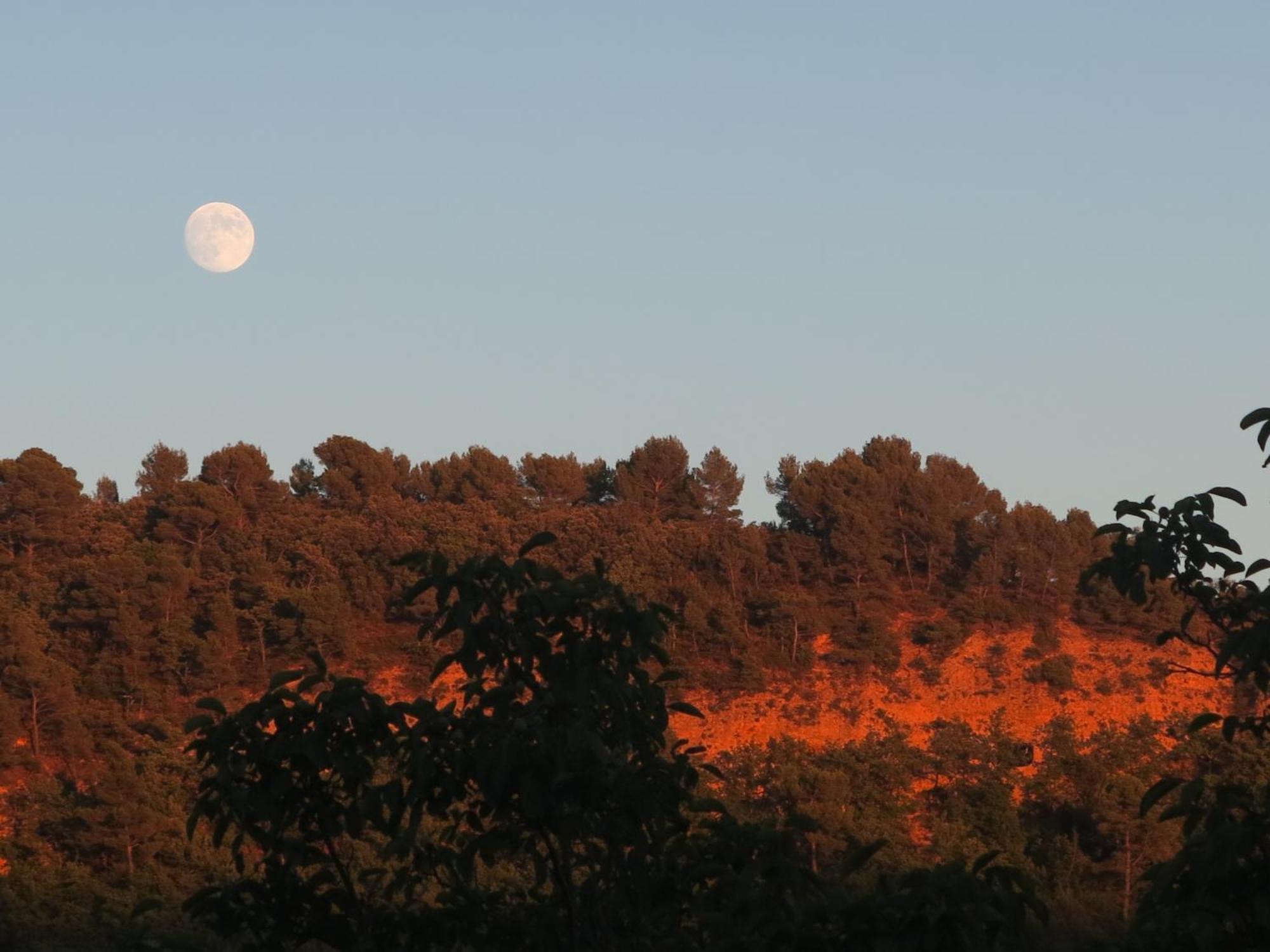 L'Oustaou Du Luberon Et Spa Villelaure エクステリア 写真