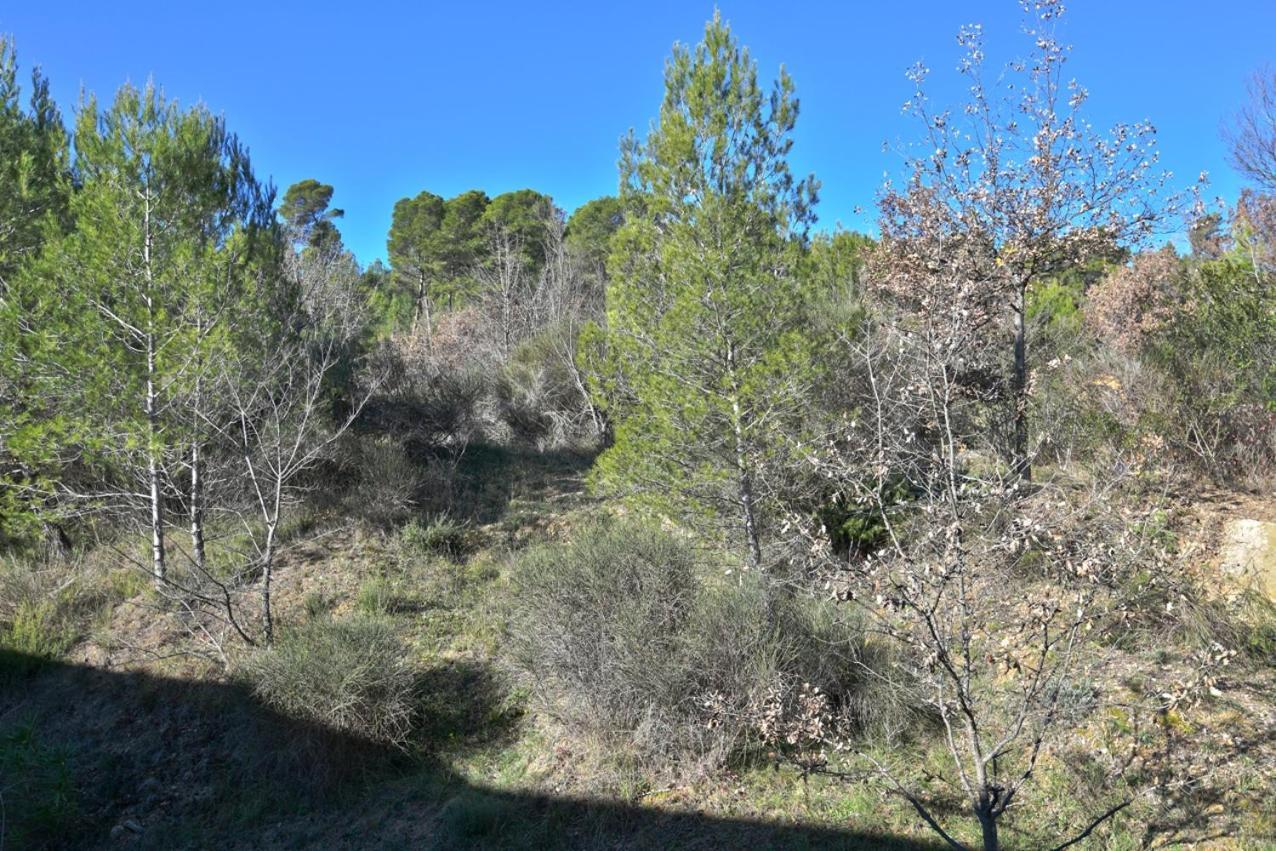 L'Oustaou Du Luberon Et Spa Villelaure エクステリア 写真