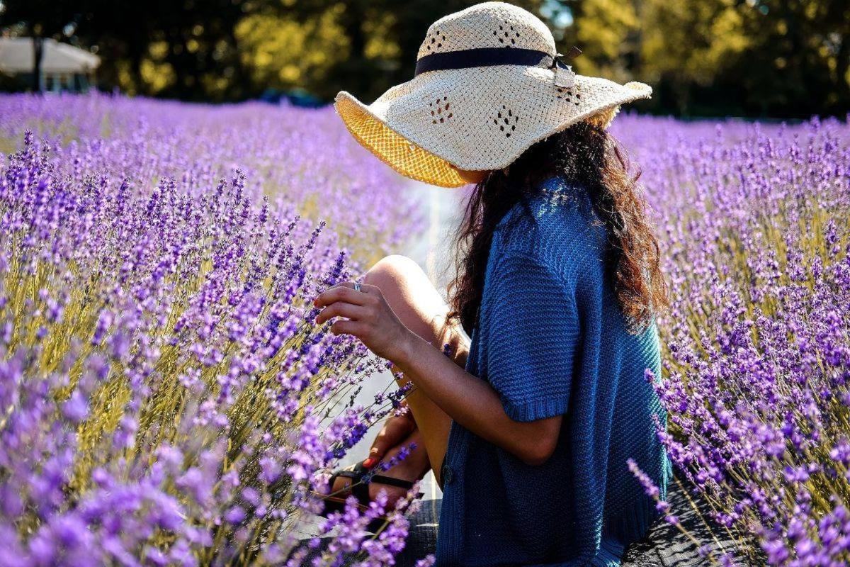 L'Oustaou Du Luberon Et Spa Villelaure エクステリア 写真