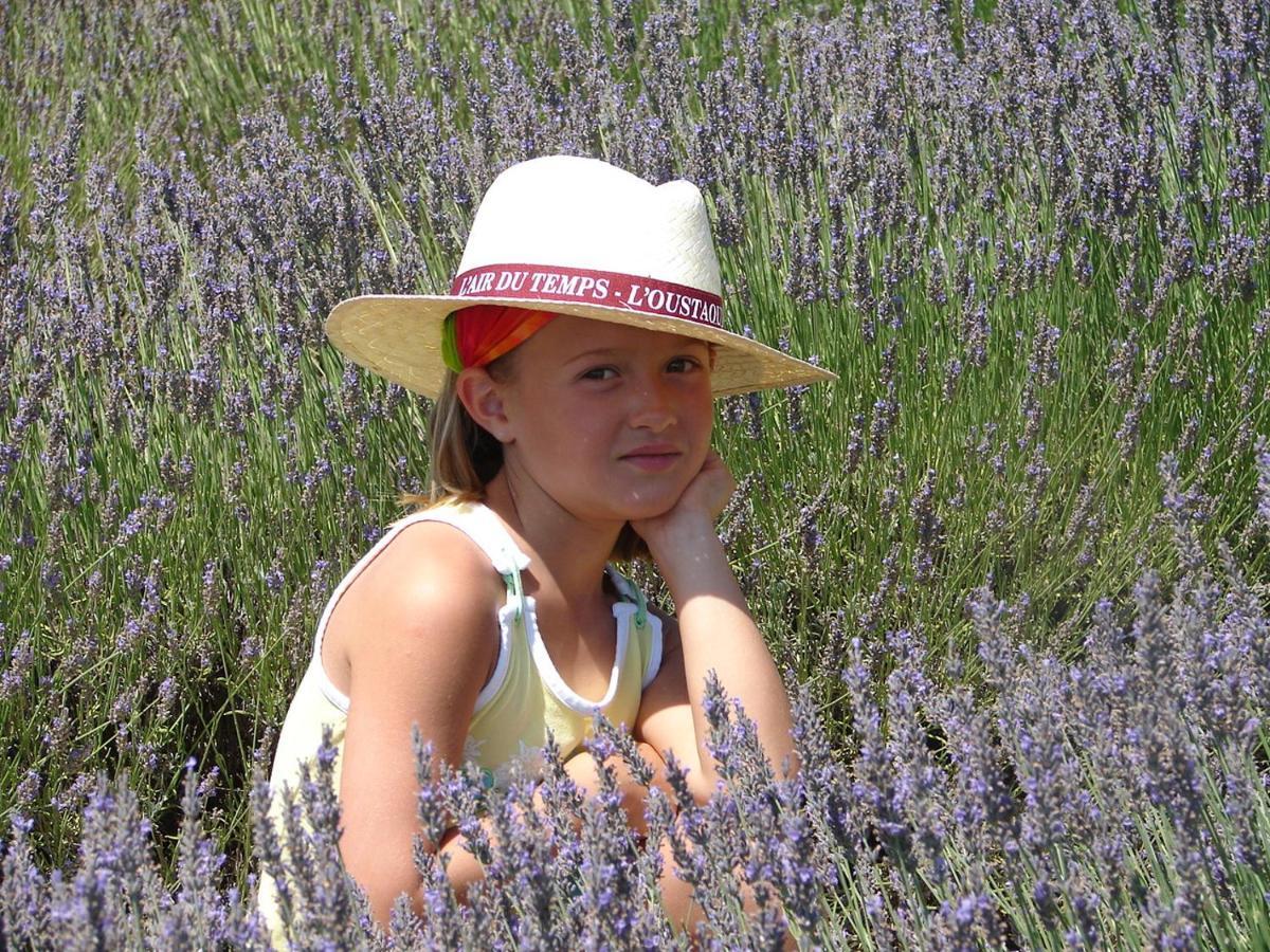 L'Oustaou Du Luberon Et Spa Villelaure エクステリア 写真